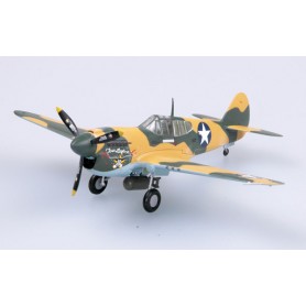 Plane plastic Model - P-40E 9 FS 49 FG Texas Longhorn 1942 - Easy Models 1/72- pack 2