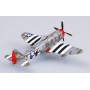 Plane plastic Model - P-47D Thunderbolt 61 FS 56 FG  - Easy Models 1/72  - pack 2