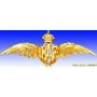 Metal badge - RAF Pilot Wings - Insigne - DJH