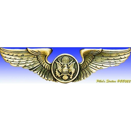 Metal badge -USAAF Air crew wings - Insigne - DJH