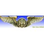 Metal badge -USAAF Air crew wings - Insigne - DJH