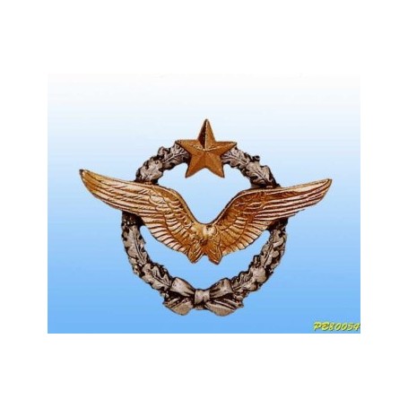 Insigne metal -Pilote Armée de l'Air - Brevet  Français 4.5cm