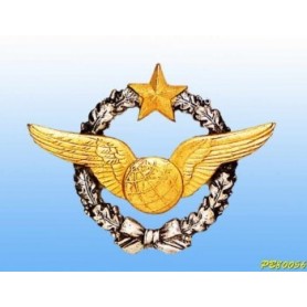 Insigne metal -Parachutiste Armée de l'Air - Brevet Français