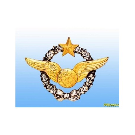 Metal badge -paratrooper Armée de l'Air - French patent