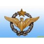 Metal badge -navigator-bomber- French patent