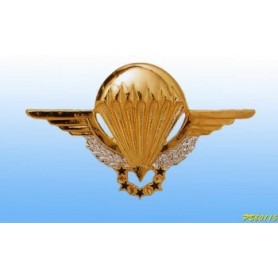 Metal badge - Para patent