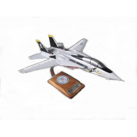 maquette avion - F-14 Jolly Rogers