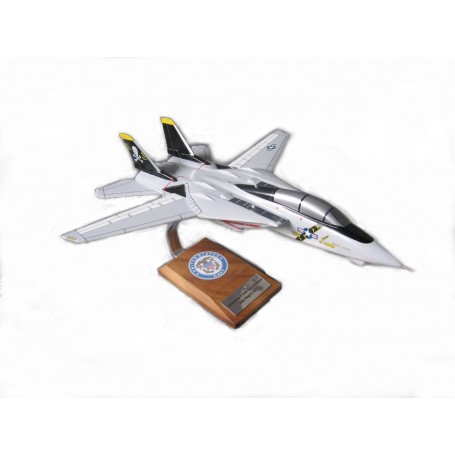 maquette avion - F-14 Jolly Rogers