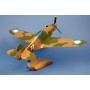 maquette avion - P-40 Tigre Volant