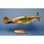 plane model - P-40 Tigre Volant