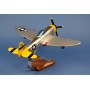 plane model - P-47D Thunderbolt USAF