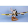 plane model - Hawker Typhoon - R.A.F.