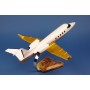 plane model - Learjet 55