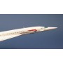 plane model - Concorde G-BOAA - British Airways