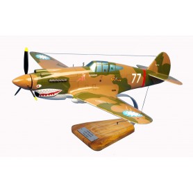 plane model - P-40 Tigre Volant plane model - P-40 Tigre Volantplane model - P-40 Tigre Volant