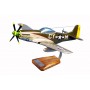 plane model - P-51C Mustang - Robert E.Welsh plane model - P-51C Mustang - Robert E.Welshplane model - P-51C Mustang - Robert E.