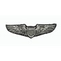 USAF Pilot Wing - Ecusson patch 9.5 x 2cm FS048