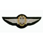 Embroidered patch - German Air Force wings - Patche 12.5x4.5cm FS406