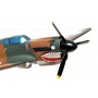 P-40 Tigre Volant