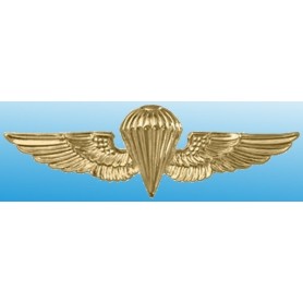 US Navy Para Wings-  Official Insignia - Fosco FO441198