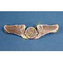 USAAF Navigator Wings - WWII DK7762