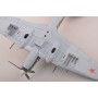 maquette avion - Il-2 n°24 Black Sea RU001-3