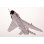 maquette avion - MiG-19 S n°42 Patrouille RU0013-3