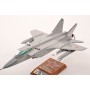 maquette avion - MiG-31 n°17 RU0018-1