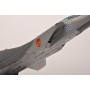 maquette avion - MiG-31 n°85 RU0018-2