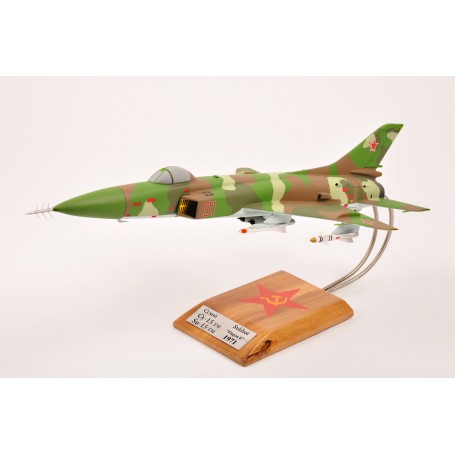 maquette avion - Su-15 TM n°01 RU0021-1