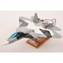 maquette avion - T50 PAK-FA n°054 RU0031