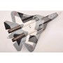 maquette avion - T50 PAK-FA n°054 RU0031