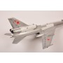 maquette avion - Tu-22 n°63 RU0032-3