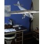 Ford Tin Goose three-engined - 69 x 102 cm